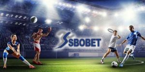 รูปแบบการวางเดิมพันที่ SBO Sports